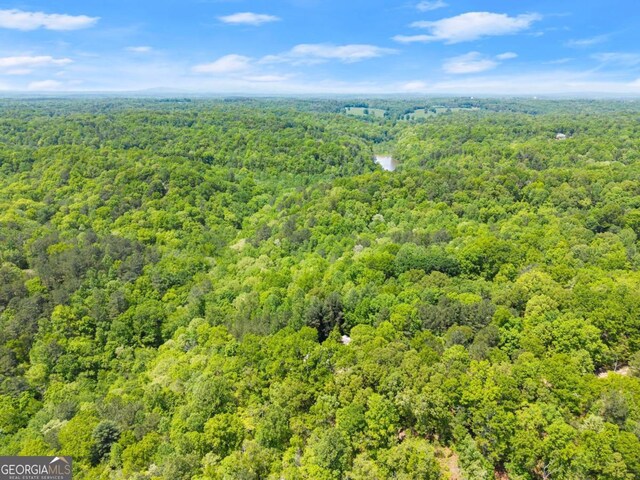 115 Rabbit Run, Dawsonville, GA 30534 - bird's eye view with a view of trees