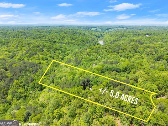 115 Rabbit Run, Dawsonville, GA 30534 - bird's eye view with a wooded view