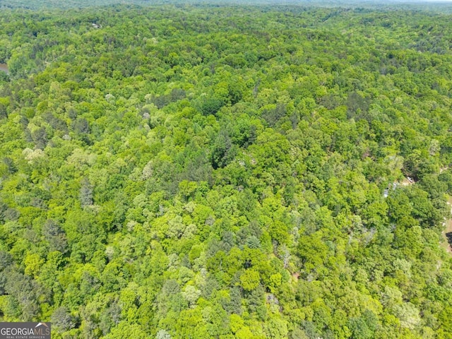 115 Rabbit Run, Dawsonville, GA 30534 - bird's eye view featuring a forest view