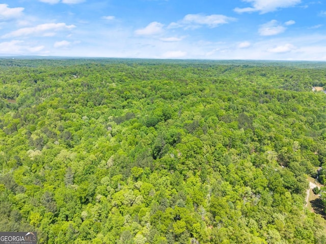 115 Rabbit Run, Dawsonville, GA 30534 - birds eye view of property featuring a forest view