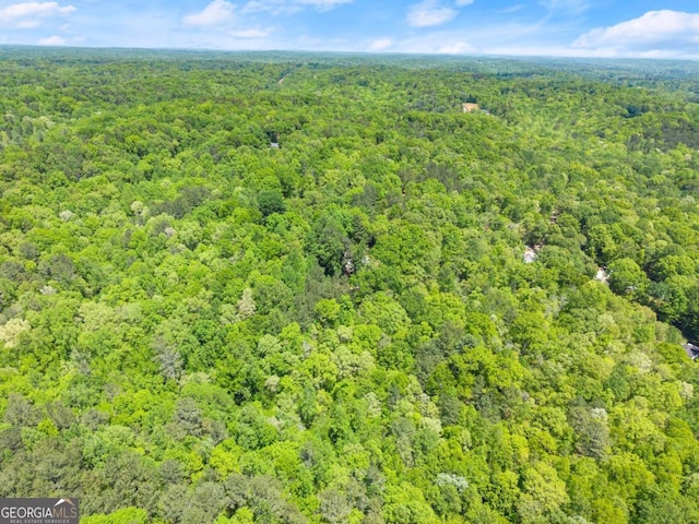 115 Rabbit Run, Dawsonville, GA 30534 - aerial view featuring a view of trees