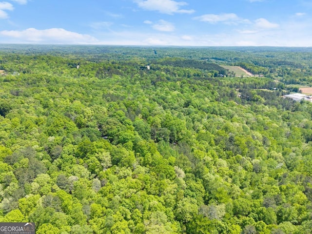 115 Rabbit Run, Dawsonville, GA 30534 - drone / aerial view featuring a wooded view