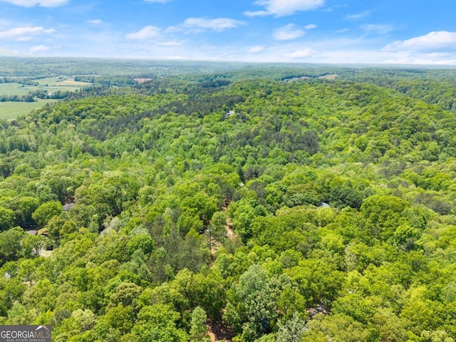 115 Rabbit Run, Dawsonville, GA 30534 - aerial view featuring a view of trees