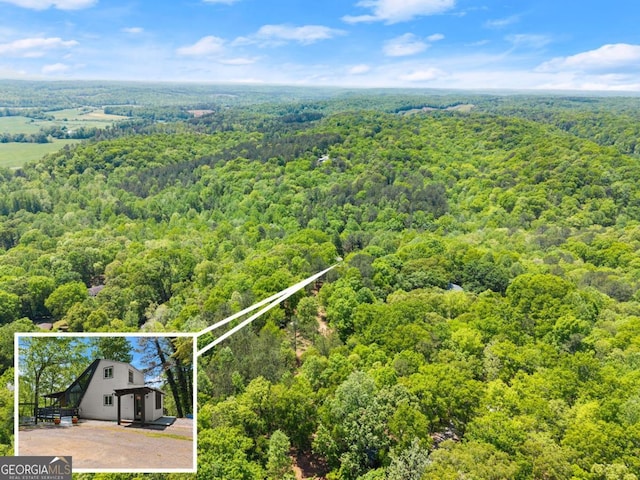 115 Rabbit Run, Dawsonville, GA 30534 - drone / aerial view featuring a forest view