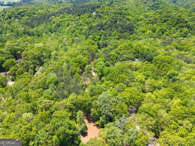 115 Rabbit Run, Dawsonville, GA 30534 - aerial view featuring a view of trees