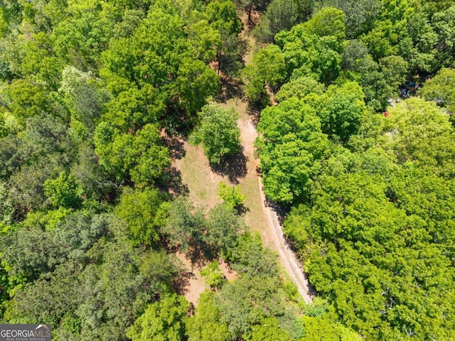 115 Rabbit Run, Dawsonville, GA 30534 - drone / aerial view
