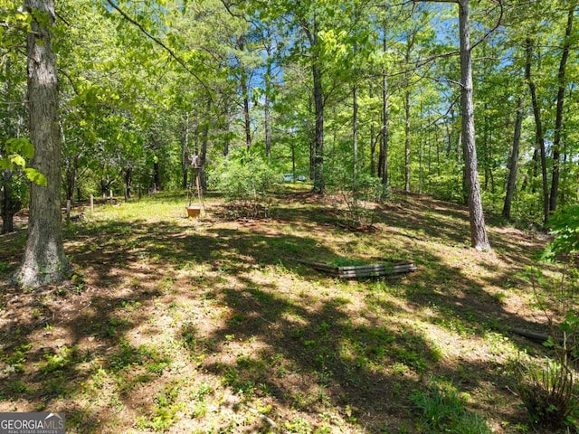 115 Rabbit Run, Dawsonville, GA 30534 - view of yard