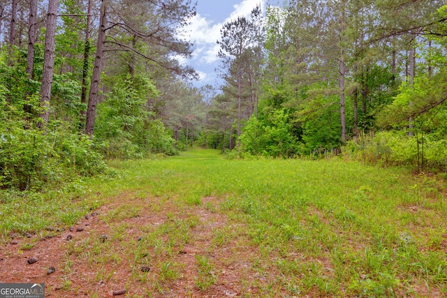 1120 Combs Ave, Martin, GA 30557