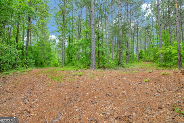 1120 Combs Ave, Martin, GA 30557