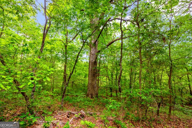 1120 Combs Ave, Martin, GA 30557