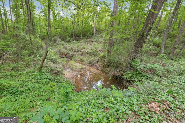1120 Combs Ave, Martin, GA 30557
