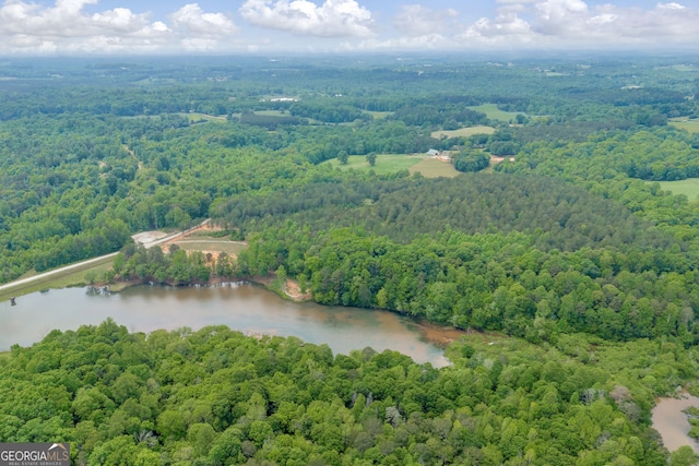 1120 Combs Ave, Martin, GA 30557