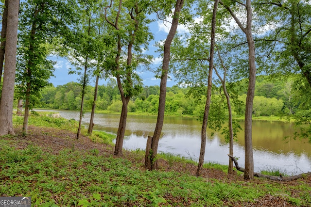 1120 Combs Ave, Martin, GA 30557