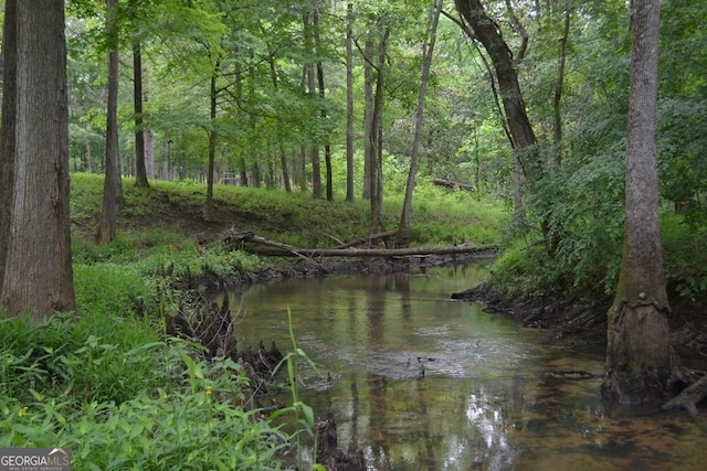 water view with a wooded view