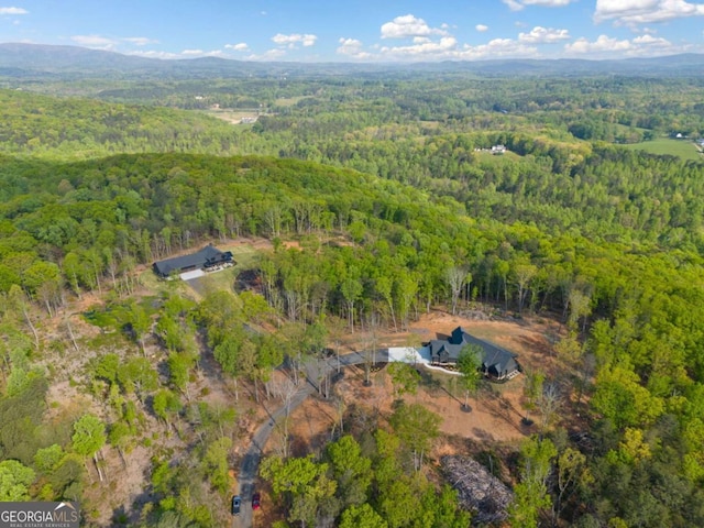 281 Abbott Dr, Canton, GA 30114 - bird's eye view of a heavily wooded area