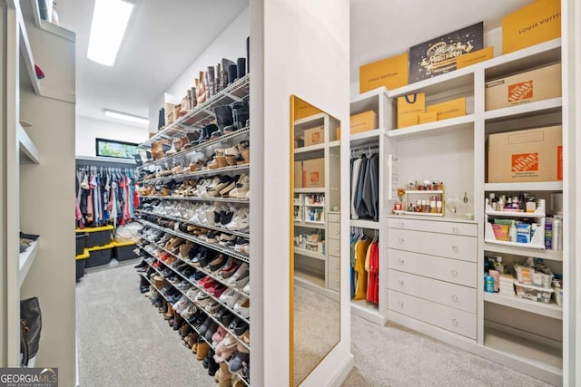 281 Abbott Dr, Canton, GA 30114 - walk in closet featuring carpet flooring