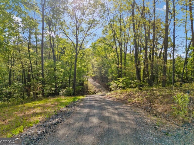 281 Abbott Dr, Canton, GA 30114 - view of street featuring a wooded view