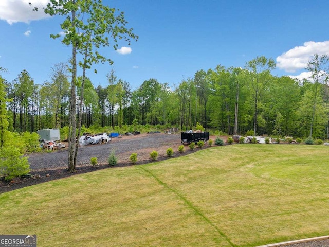 281 Abbott Dr, Canton, GA 30114 - view of grassy yard