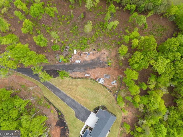 281 Abbott Dr, Canton, GA 30114 - bird's eye view