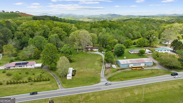 7255 Blue Ridge Dr, Blue Ridge, GA 30513 - drone / aerial view with a wooded view and a mountain view