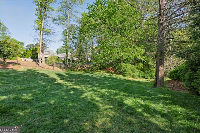 4584 E Conway Dr, Atlanta, GA 30327 - view of yard