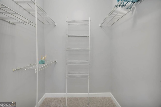 walk in closet featuring carpet