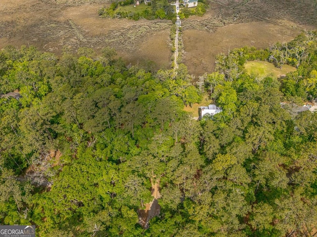 bird's eye view