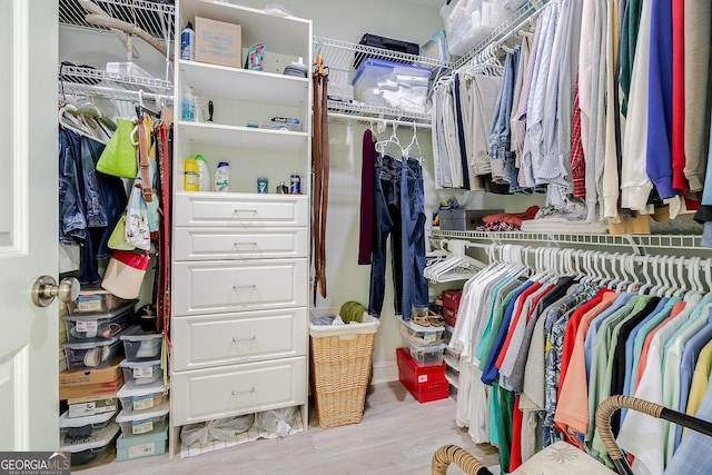 spacious closet featuring wood finished floors