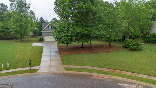 view of property hidden behind natural elements with an attached garage, driveway, and a front lawn