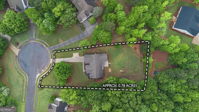 aerial view