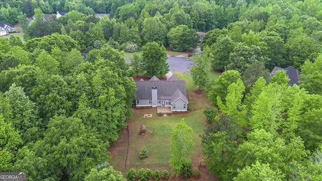 bird's eye view