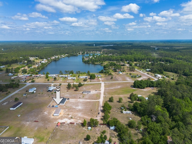 92 Wood Duck Ln, Folkston, GA 31537 - drone / aerial view featuring a water view and a wooded view