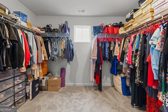 181 Sweet Briar Way, Homer, GA 30547 - walk in closet featuring carpet floors