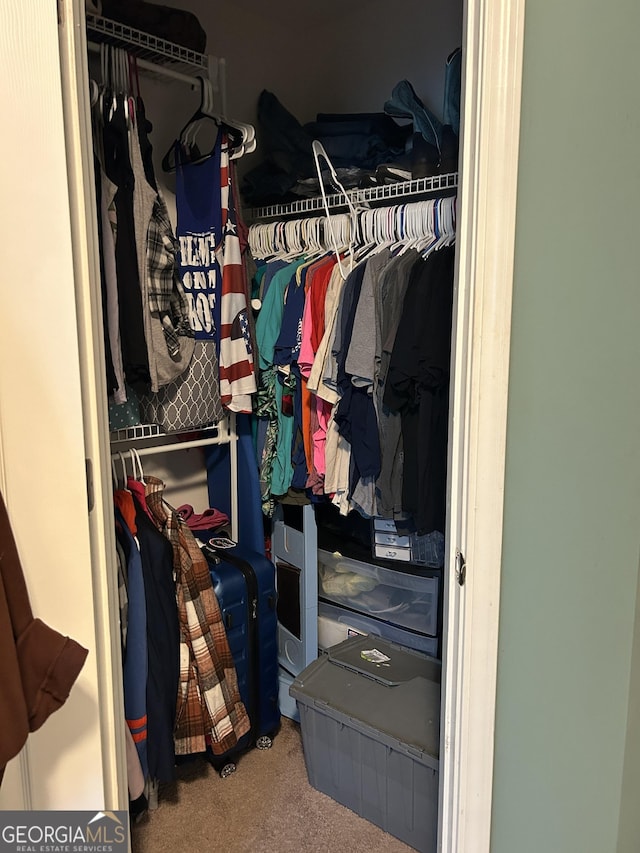 view of closet