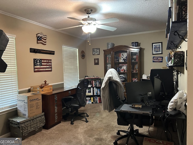 office area with crown molding, carpet floors, ceiling fan, and a textured ceiling