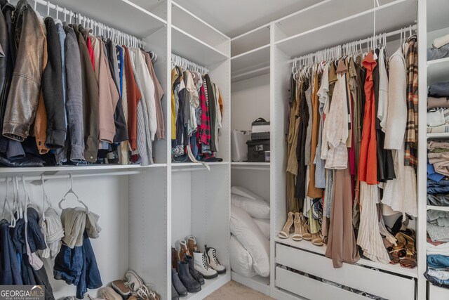 234 Lakepointe Dr, Savannah, GA 31407 - view of walk in closet