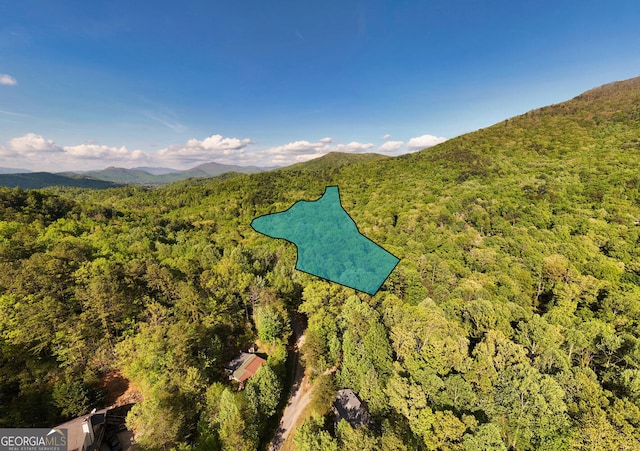 TRACT16 Quinn Cove Rd, Hiawassee, GA 30546