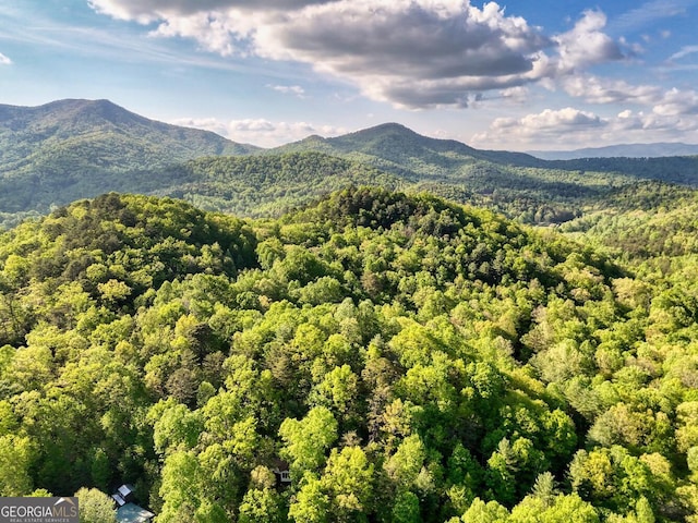 TRACT16 Quinn Cove Rd, Hiawassee, GA 30546