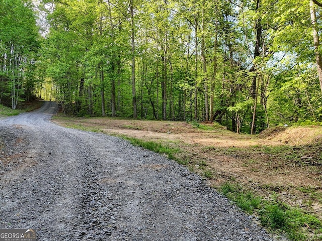TRACT16 Quinn Cove Rd, Hiawassee, GA 30546