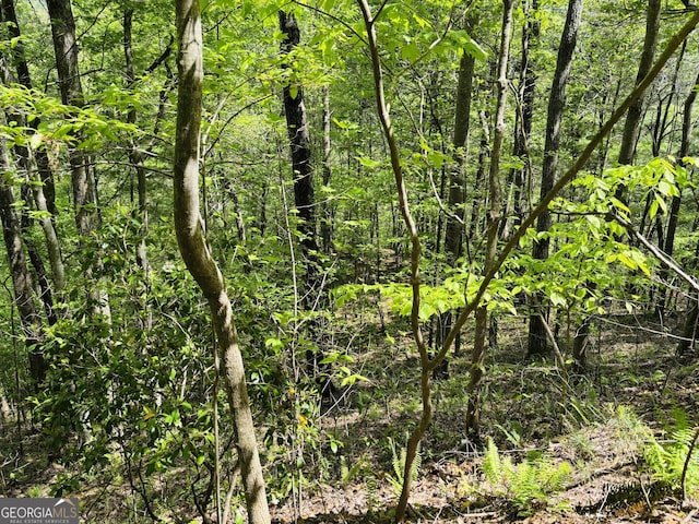 TRACT16 Quinn Cove Rd, Hiawassee, GA 30546