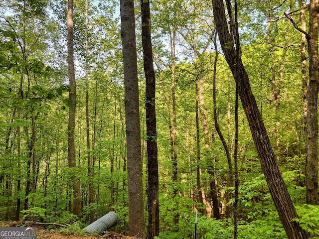 TRACT16 Quinn Cove Rd, Hiawassee, GA 30546