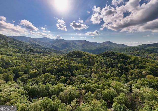 TRACT16 Quinn Cove Rd, Hiawassee, GA 30546
