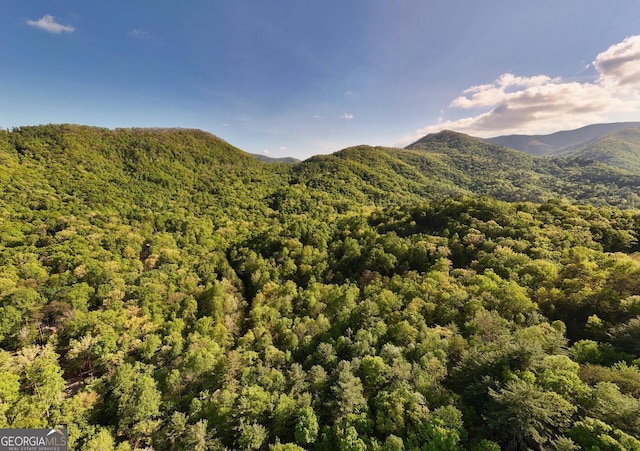 TRACT16 Quinn Cove Rd, Hiawassee, GA 30546