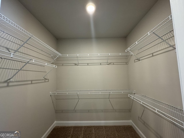 walk in closet with carpet flooring