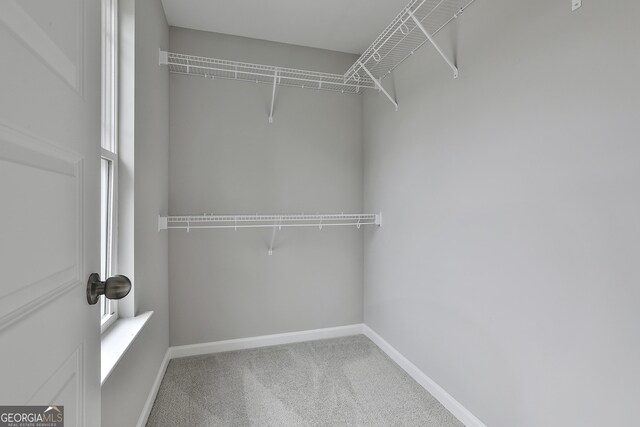 51 Camden Cir, Newnan, GA 30265 - walk in closet with carpet
