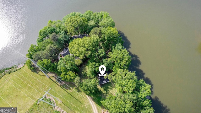 370 David Williams, Sparta, GA 31087 - birds eye view of property