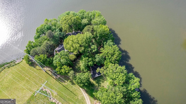 370 David Williams, Sparta, GA 31087 - aerial view