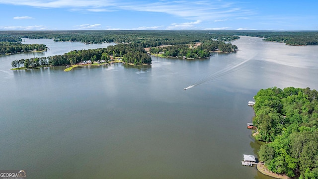 370 David Williams, Sparta, GA 31087 - birds eye view of property with a water view and a wooded view