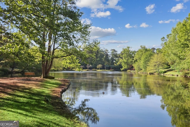 26 Clarendon Ave, Avondale Estates, GA 30002 - view of water feature