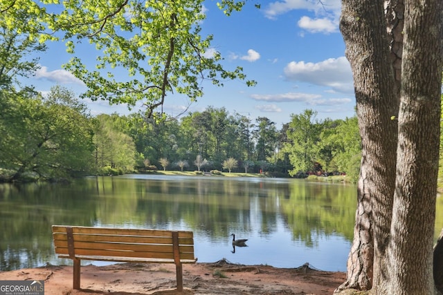 26 Clarendon Ave, Avondale Estates, GA 30002 - view of water feature with a forest view